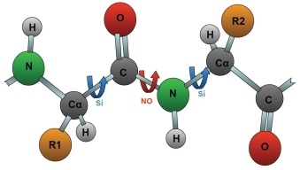 proteinas-10-giro-enlace-peptidico